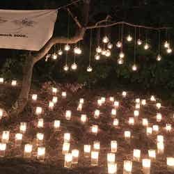 キャンドルナイト/画像提供:株式会社ススム