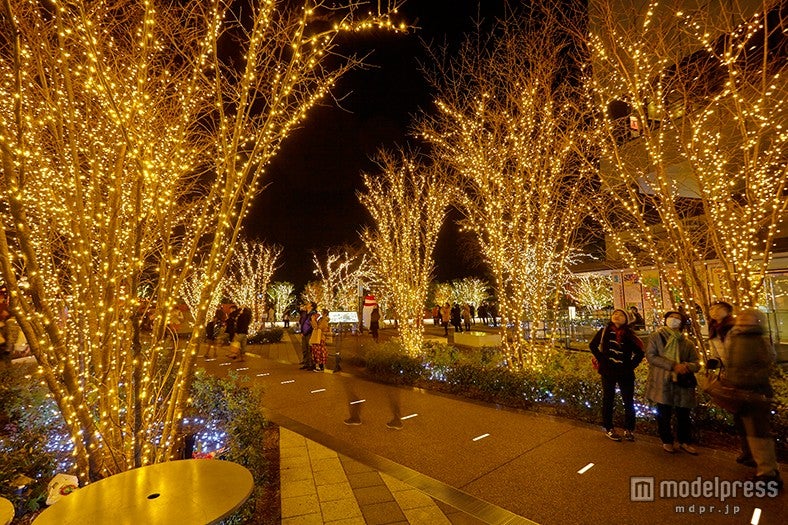 スケートリンク周辺のイルミネーション（昨年の様子）（C）TOKYO-SKYTREETOWN