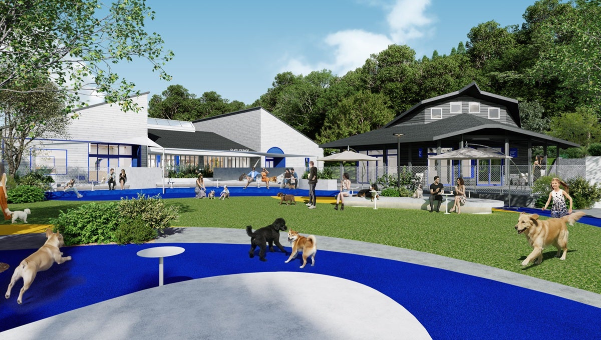 ラフラフ千葉（提供写真）