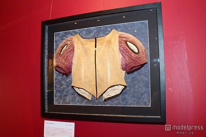 ディズニープリンセス展 アナ雪 シンデレラ の貴重な品が続々 日本初上陸も D23 Expo Japan 15 レポ モデルプレス