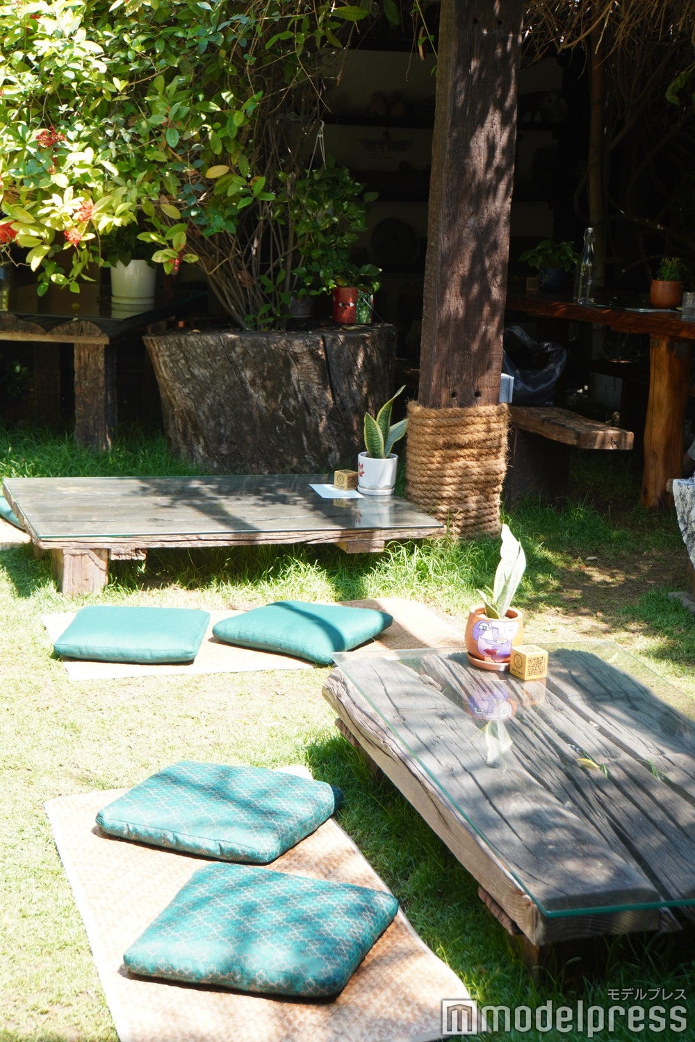 セヴァ(C)モデルプレス