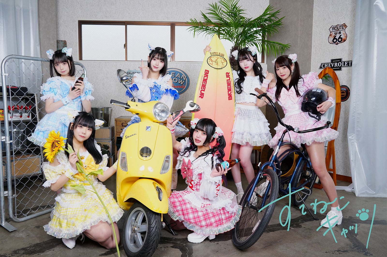 すてねこキャッツ（提供写真）