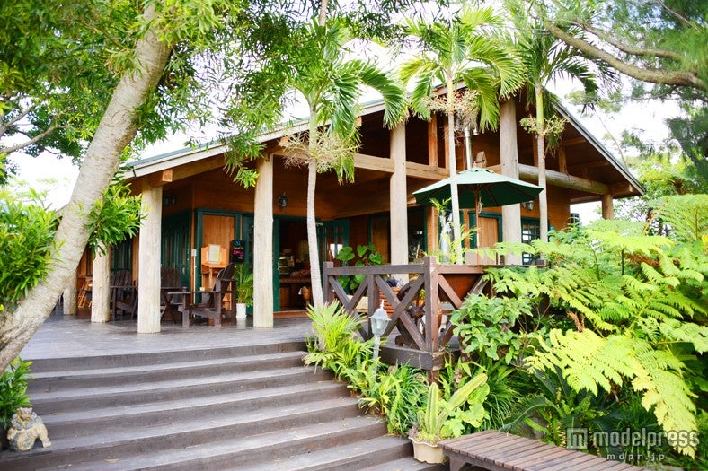 緑あふれるロケーション