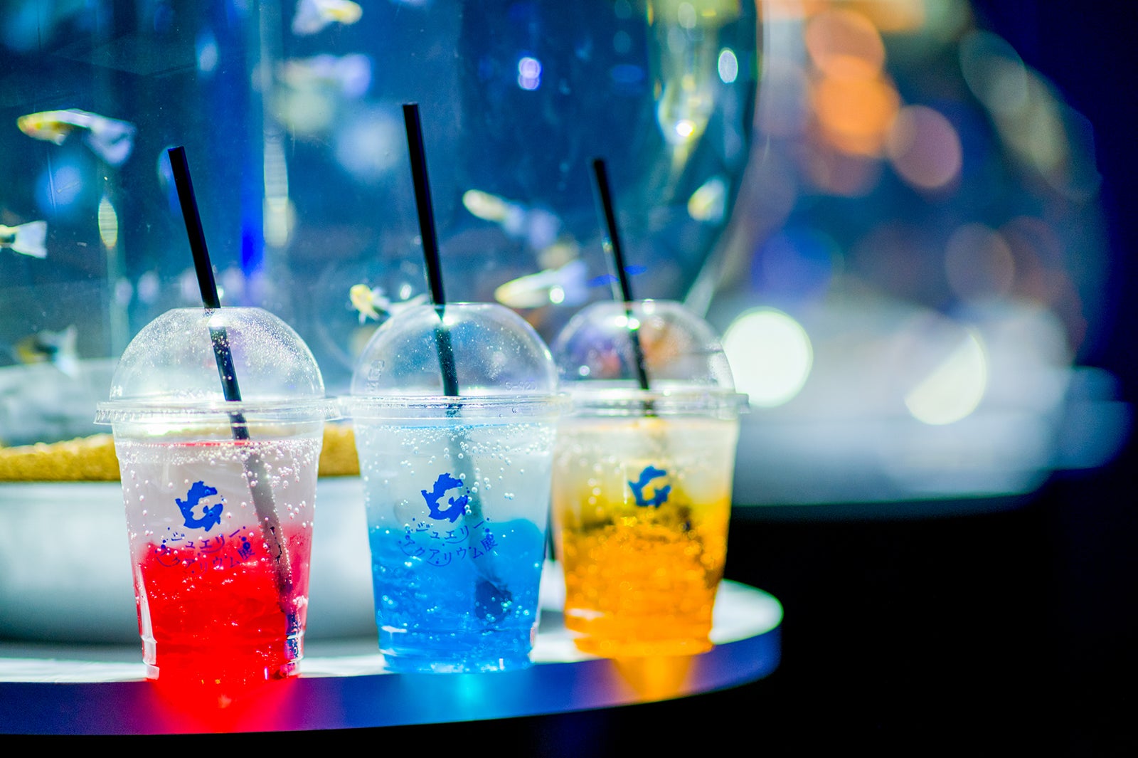 ジュエリーアクアリウム／画像提供：アイティベル