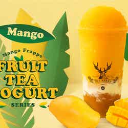 マンゴーティーグルト/画像提供:ポトマック