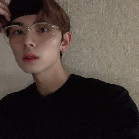 ぺい(提供写真)