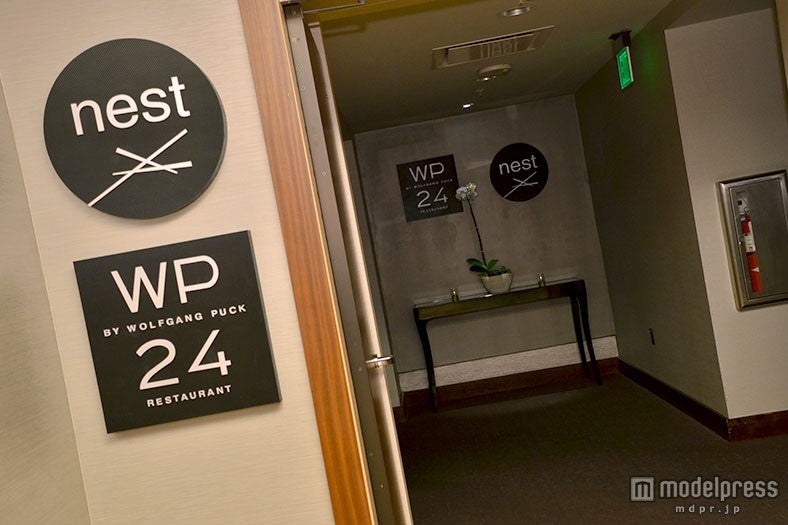 「NEST AT WP24（ネスト アット WP24）」