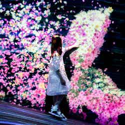 花と共に生きる動物たち II - A Whole Year per Year /画像提供:チームラボ