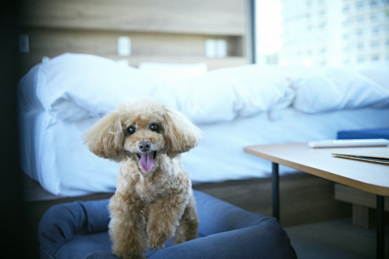 スペースキーポイント／画像提供：リビエラグループ