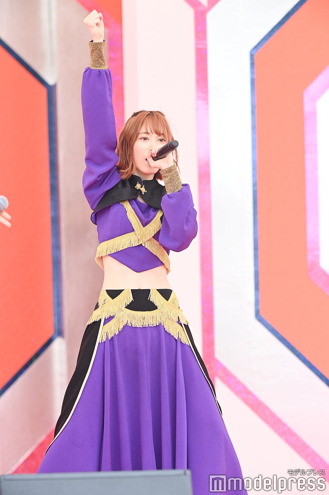 豆柴の大群（C）モデルプレス