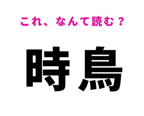 【時鳥】はなんて読む?和歌にも登場する鳥の名前!