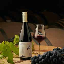 7c villa & winery/提供画像