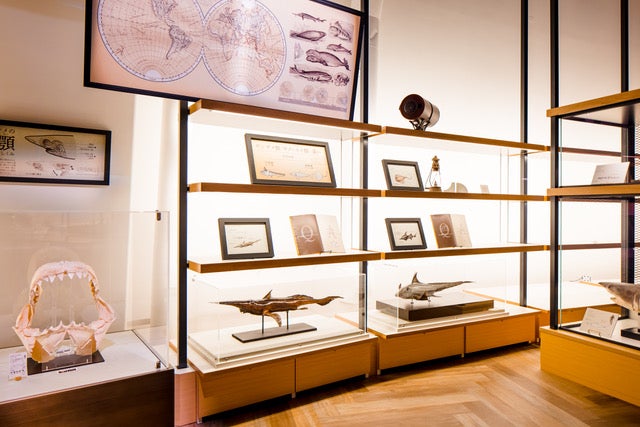 サメVR水槽のあるスペース[シャークダディズルーム] （提供画像）