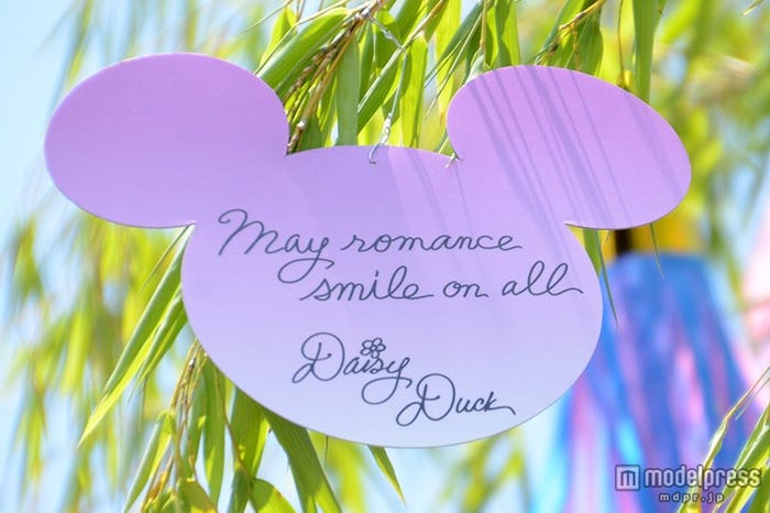 デイジーのウィッシングカード