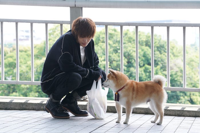 神尾楓珠/「ナンバMG5」特別編より(C)フジテレビ