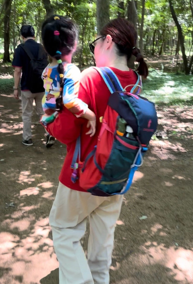 平野ノラ オフィシャルブログより