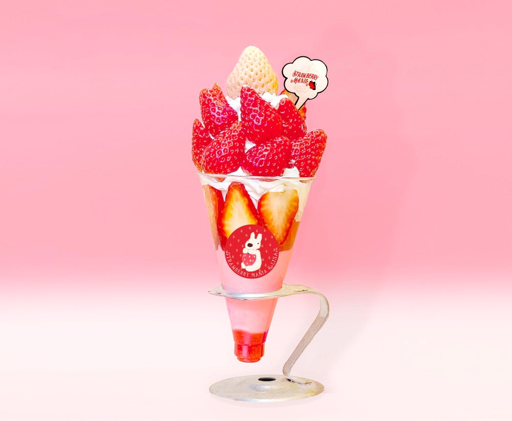 いちごと花❣️オーダー専用❣️セット かの／大正桜乙女喫茶（ポニーテールヘアver．）【AOD515-KTP
