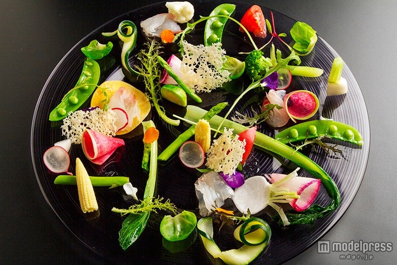 美しいサラダ／画像提供：Blue-Sky