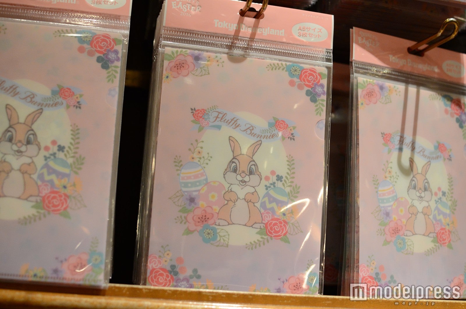 クリアフォルダーセット￥500（C）モデルプレス