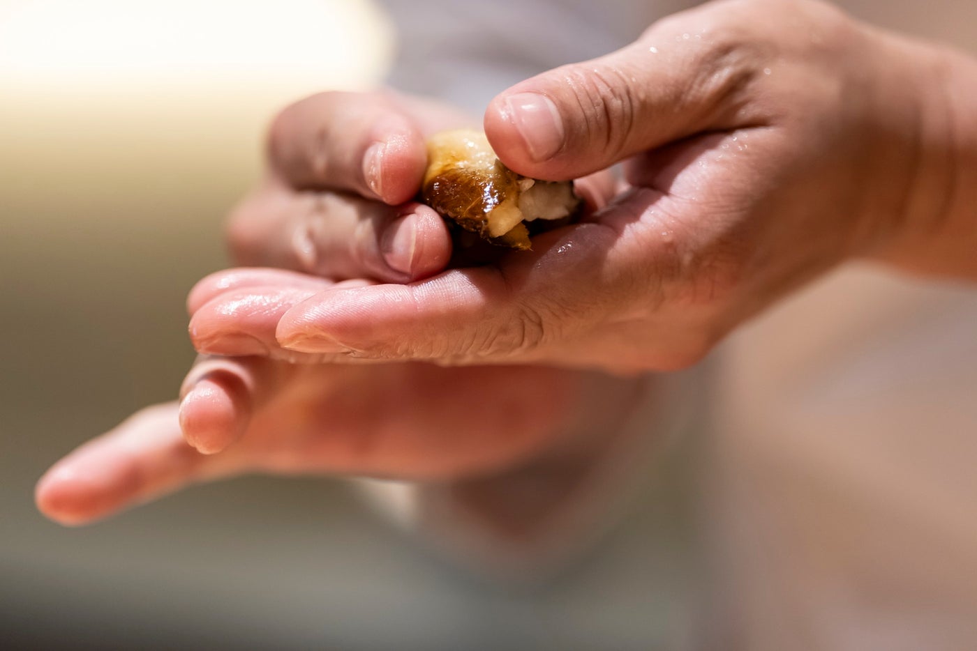 鮨 銀座おのでら フォーシーズンズホテル京都店／提供画像