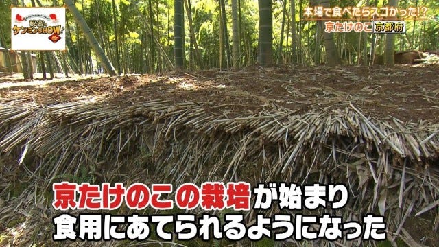 「絶対にうまい」京都府民を虜にする“京都限定の野菜”