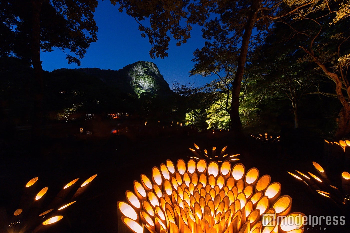 約5,000個の竹灯籠を設置／画像提供：御船山観光ホテル