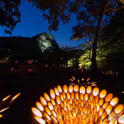 約5,000個の竹灯籠を設置／画像提供：御船山観光ホテル