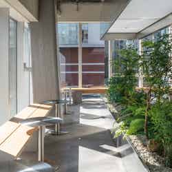 アルケミスト 青山/提供画像