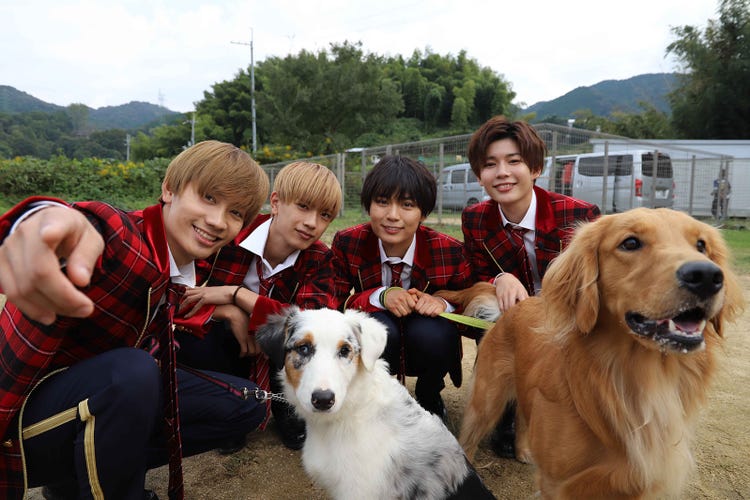 なにわ男子 大西流星 高橋恭平 長尾謙杜 藤原丈一郎 犬のしつけに挑戦 モデルプレス なにわ男子 大西流星 高橋恭平 長尾謙杜 藤原丈一郎 犬のしつけに挑戦 モデルプレス