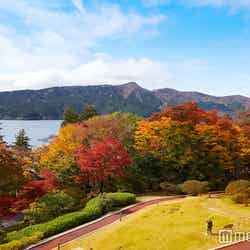 箱根の小田急 山のホテル／画像提供：小田急エージェンシー