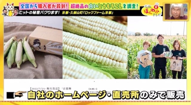 【京都・久御山町】全国から購入者が殺到!1日数千本も売れた「白いスイートコーン」とは?