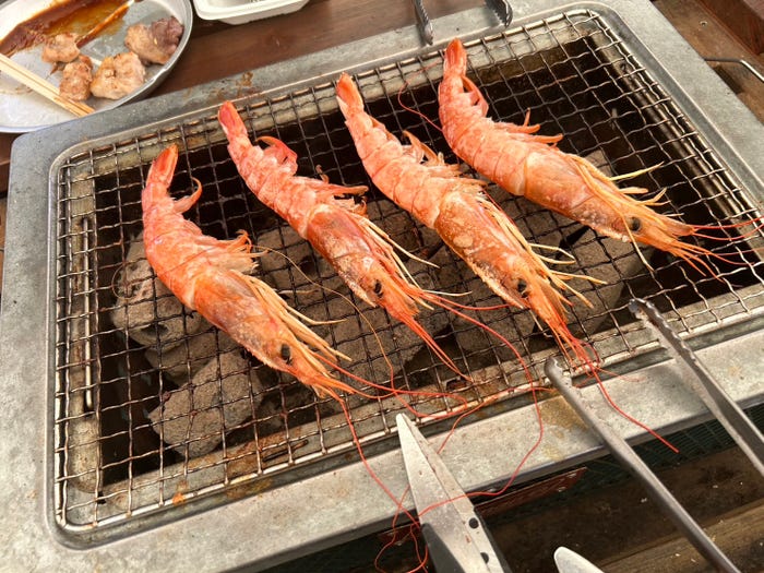 松本旭平「真夏の水族館」(提供写真)