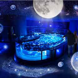 「月とクラゲ」(イメージ)/画像提供:すみだ水族館