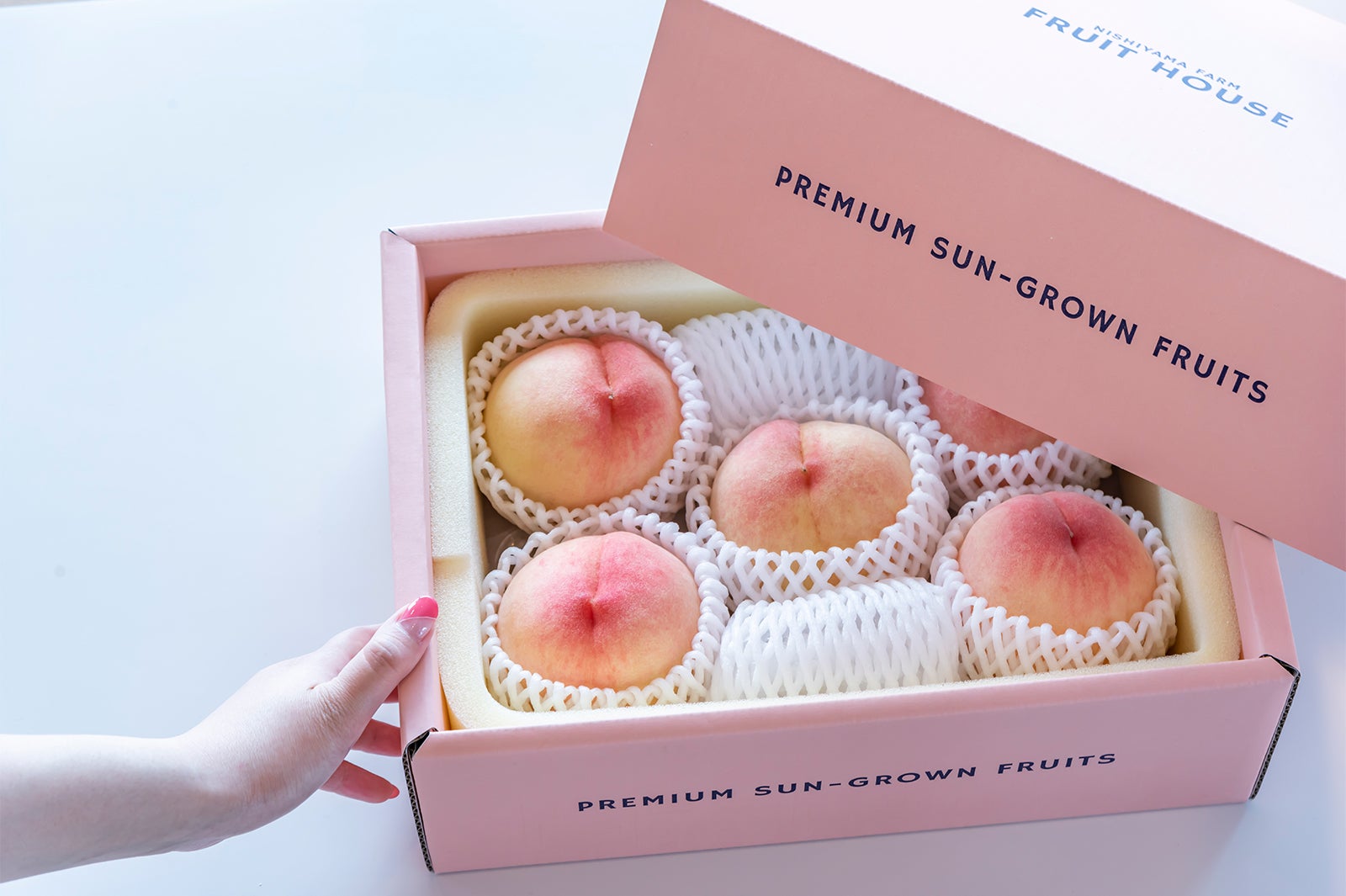 FRUIT HOUSE／画像提供：TRANSIT