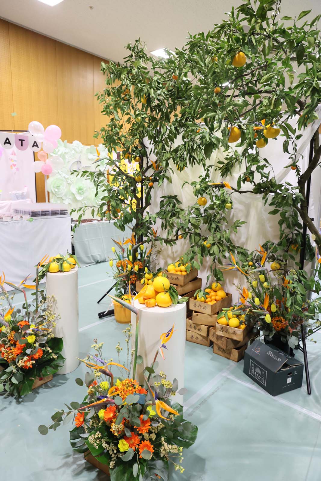 「TGC 和歌山 2024」ケータリング（提供写真）