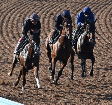 ライヒスアドラーなどダービー4頭出しの上原佑厩舎3歳勢が2週前追い切り 上原佑師は「4頭とも順調」