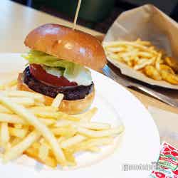 星野リゾート トマム(C)モデルプレス