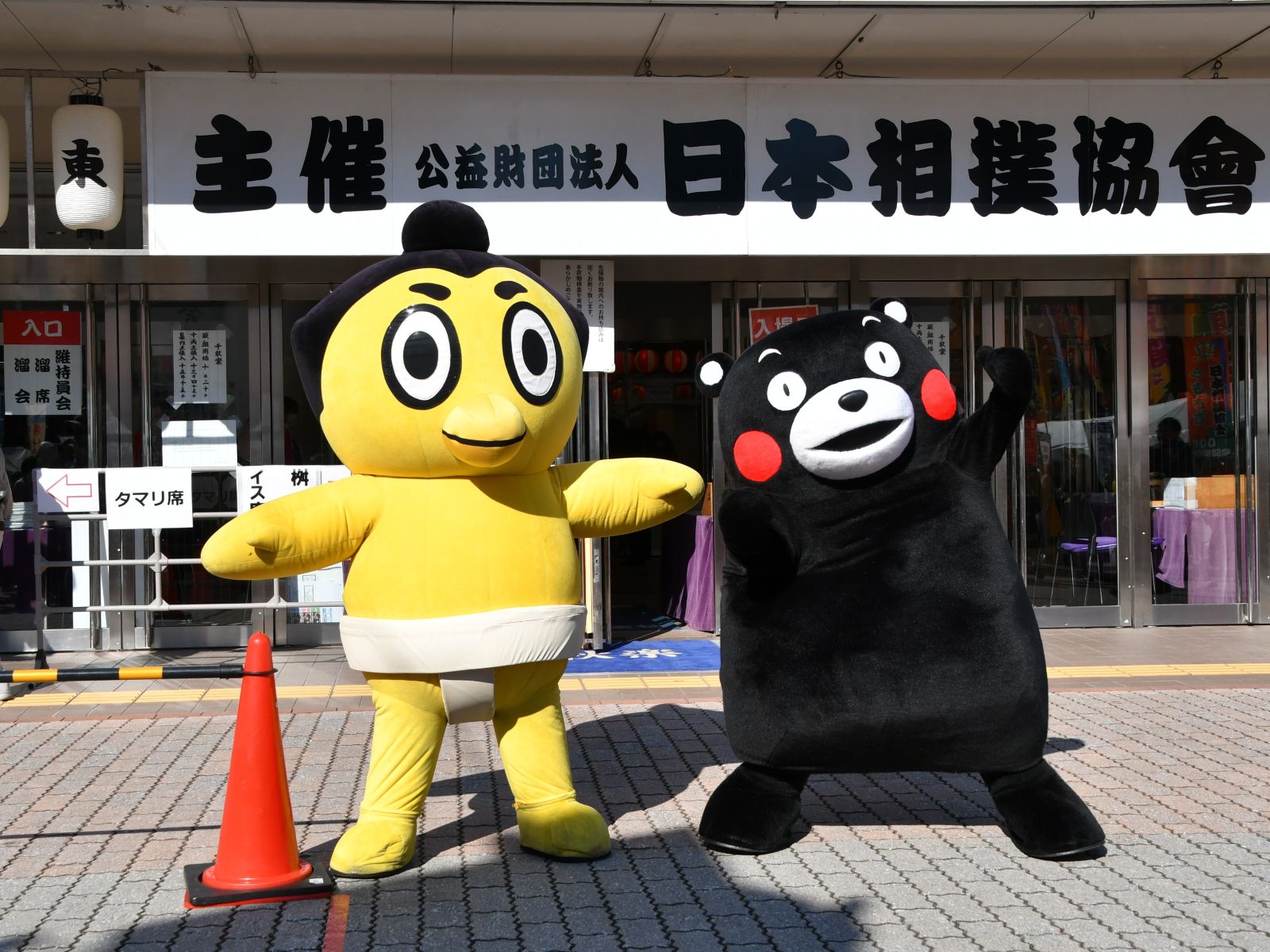 九州場所にやってきたモン＝11月23日、福岡市