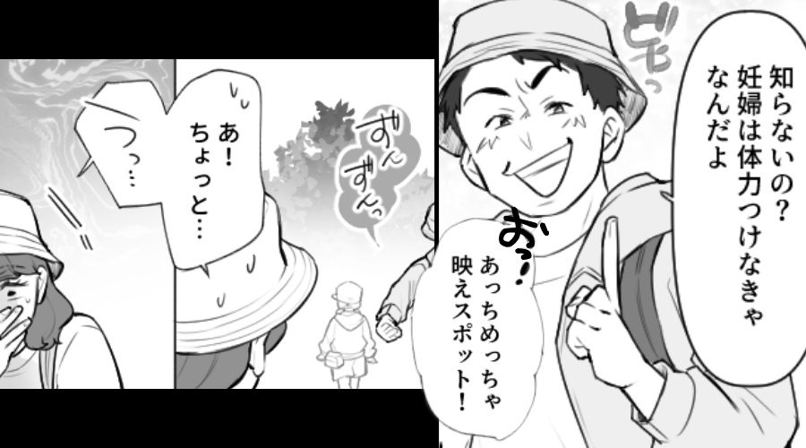 妊娠中の妻に“登山”させ「映えスポット！」放置する夫。しかし⇒「救急車！！」最悪の事態を招いた話