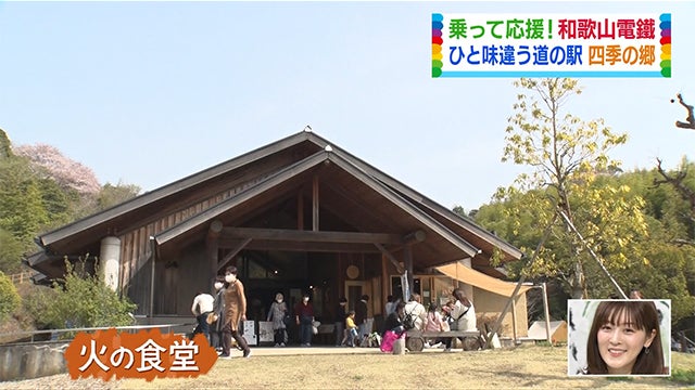 いちご、うめぼし…？バリエーションが豊か過ぎるローカル電車【和歌山・貴志川線編】