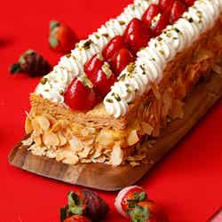 ストロベリー&チョコレートホリック スイーツブッフェ/提供素材