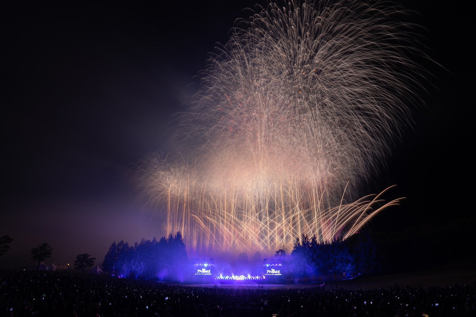 Photo by YUKI SHINOHARA