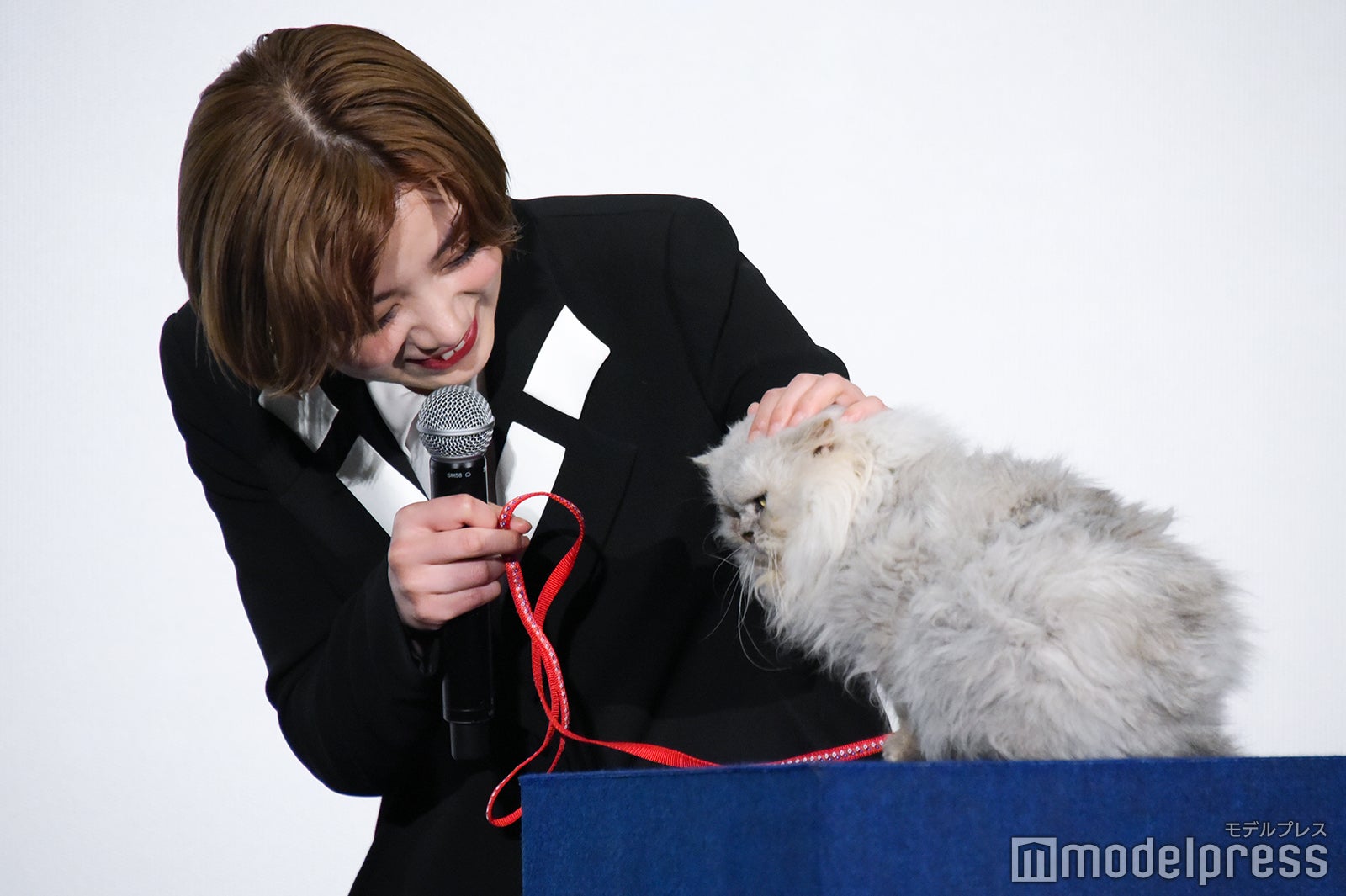 池田エライザ、猫のビーツ（C）モデルプレス