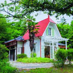 どんどこ森の「サツキとメイの家」/ジブリパーク(C)Studio Ghibli