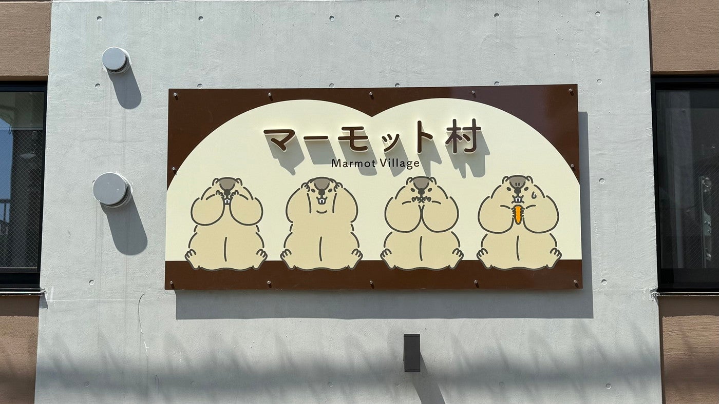 マーモット村／提供画像
