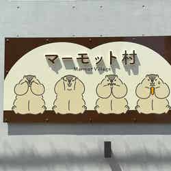 マーモット村/提供画像