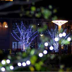 メッツァビレッジのクリスマス2020 ～北欧の森とクリスマスマーケット～／画像提供：ムーミン物語