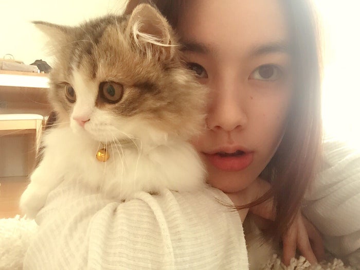 美女とペット 筧美和子の愛猫 ぽんず の可愛さが爆発 うるうる瞳にノックアウト モデルプレス 美女とペット 筧美和子の愛猫 ぽんず の可愛さが爆発 うるうる瞳にノックアウト モデルプレス