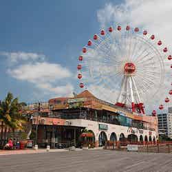 ショッピング&夕陽を楽しむ沖縄人気観光スポット