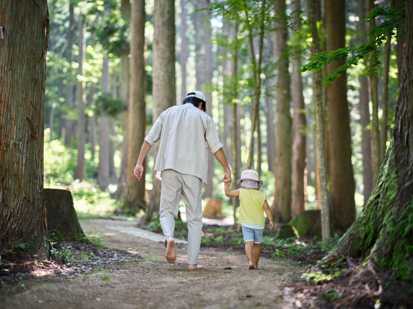 森のはだし道※宿泊者専用（提供画像）